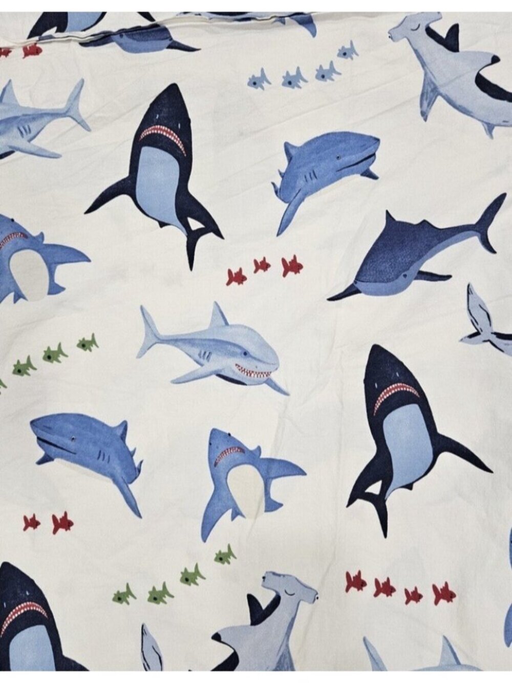 Pottery Barn Kids Organic Cotton Shark Twin Fitted Sheet Blue White Ocean Beach